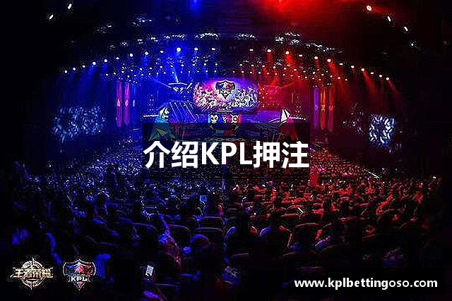 KPL押注(中国)官方网站-kpl竞猜，投注